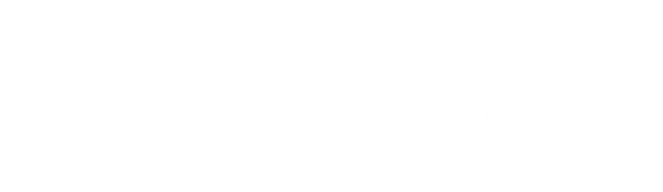  Nest Guard Pro 